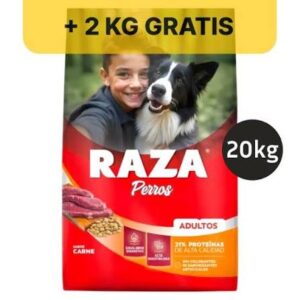 RAZA ADULTO CARNE 20+2kg
