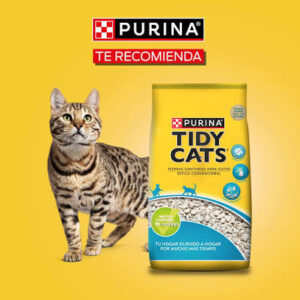 PIEDRA TIDY CATS